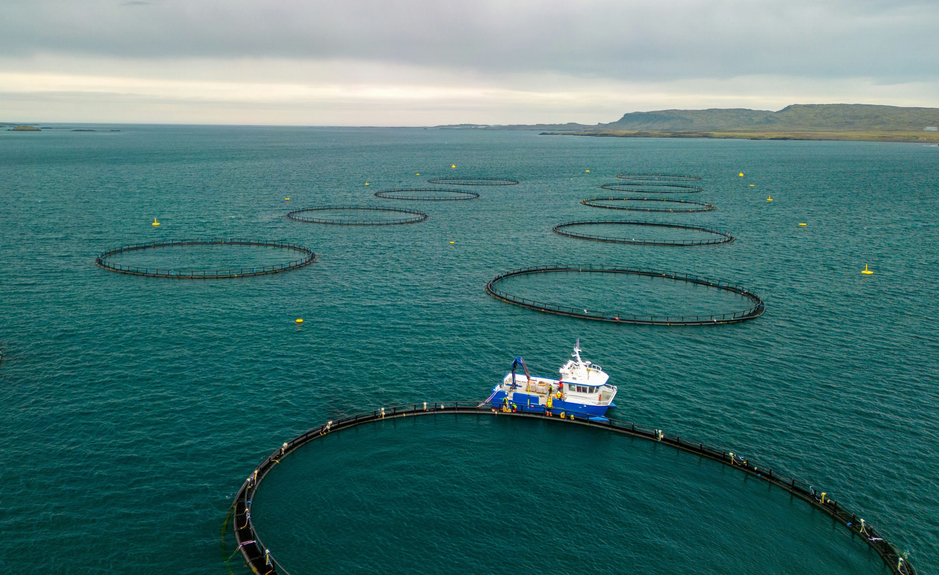 Fish farm