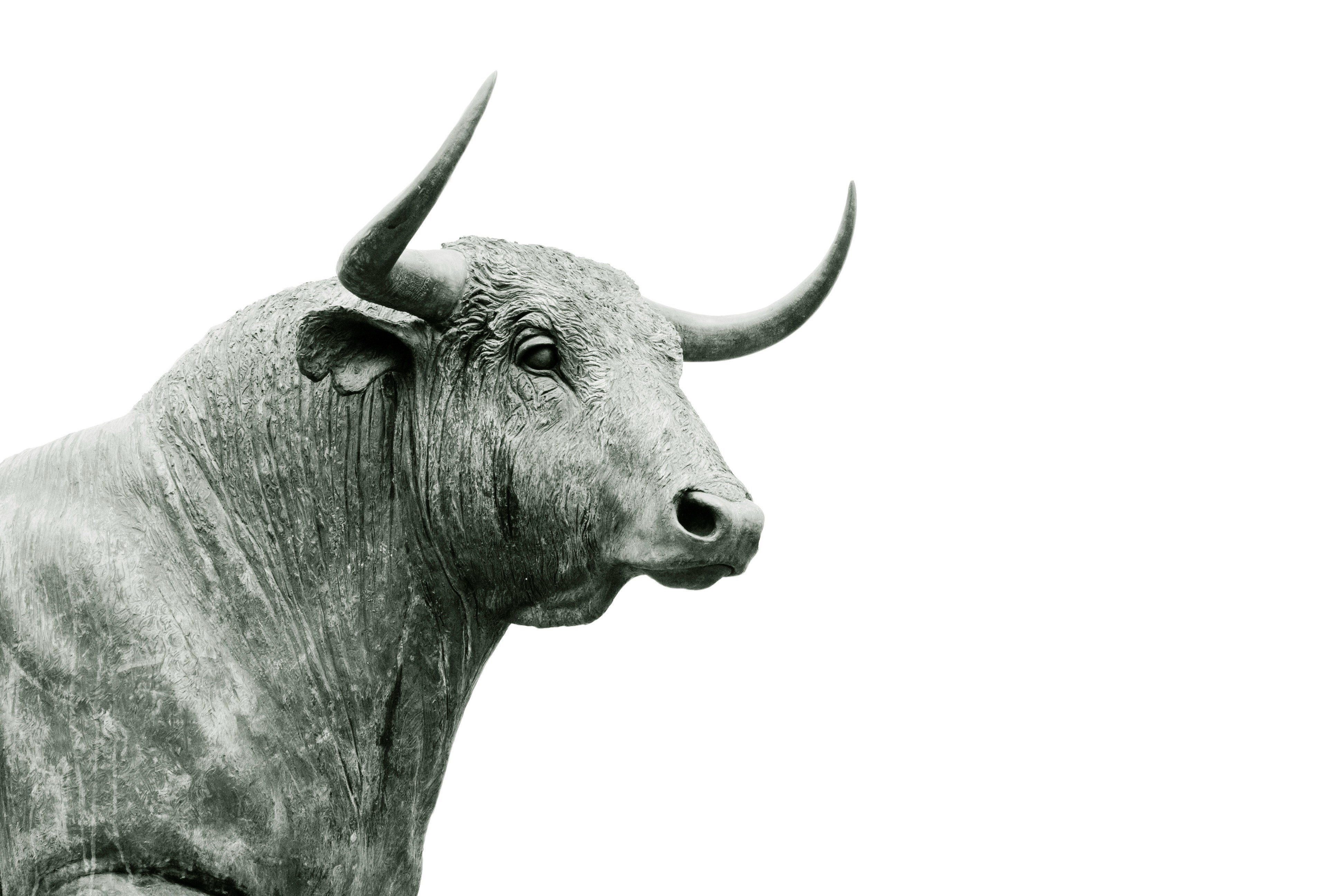 Stock market bull